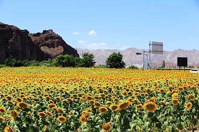 《消逝的光芒：困兽》地图更小 但更精细